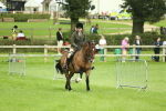 SBM_42255