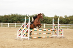 SBM_008698