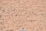 230606A-172531-00195