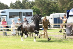 SBM_02192