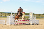 SBM_005214