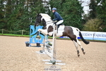 Cls 7 British Novice and 90cm Open portfolio