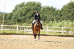 SBM_002642