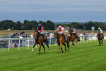 160724-Race 5-Believitanducan-9228