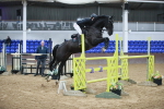 Class 5 - Senior Foxhunter - 1.120m Open portfolio