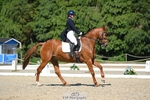 251-CLASS_MOVE-Ellie_Healy-WEDTrotUp+DR portfolio