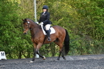 Lyford Stud - Dressage  31-05-25 portfolio