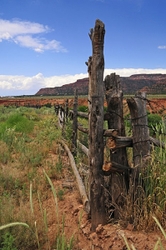 Red Canyon; Utah portfolio