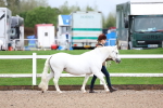 SBM_00214