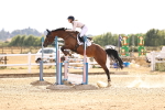 SBM_001781
