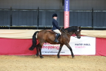 SBM_17664