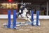 BPP_3247