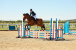 SBM_000196