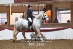 BPP_2494