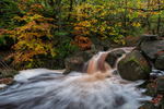 Padley Gorge