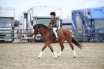 SBM_005946