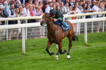 260823-Race 6-Inquisitively-0876