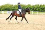 SBM_006633