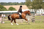 SBM_17754