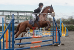 North Showjumping_2016-33