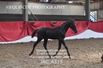 JAC_6515