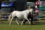 SBM_00797
