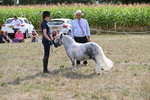 WJ6_7045