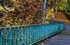 JamesGardens2310-9