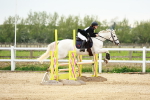 SBM_009126