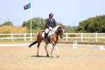 SBM_009323