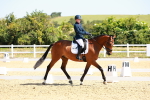 SBM_009833