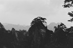 Above the Clouds (Mt Huangshan) #17