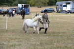 WJ6_5938