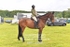 BPP_3283