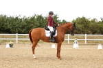 SBM_007675