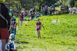 The Finish-611