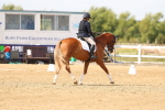 SBM_012086