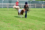 SBM_03455