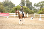 SBM_001034