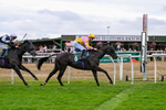 Race 6 16.45pm Racing Again 26th August Handicap portfolio