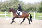 SBM_007208