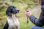Mikki 3-in-1 whistle,clicker & poo-bag holder