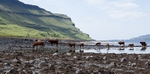20120602-_MG_0288