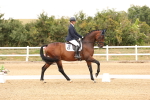 SBM_001831