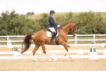 SBM_013798