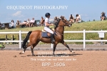 BPP_1606