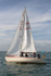 150627 FIREFLY GBR9311R WT7A1731
