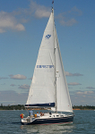 050918 HARMONY GBR6711R IMG_3574