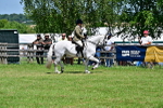 SBM_17392
