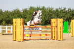 SBM_002250